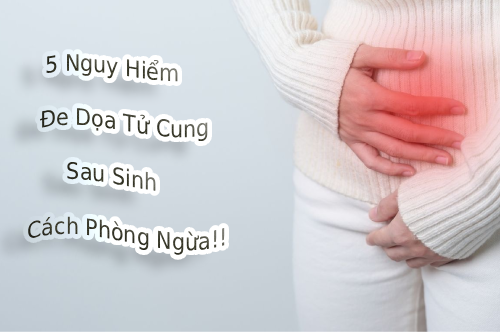 5 Nguy Hiểm Đe Dọa Tự Cung Sau Sinh Và Cách Phòng Ngừa Gia Lai 5 Nguy Hiểm Đe Dọa Tự Cung Sau Sinh Và Cách Phòng Ngừa Gia Lai