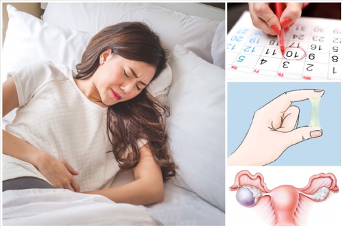 Những Bệnh Lý Phụ Khoa Thường Gặp Nữ Giới Chớ Xem Thường